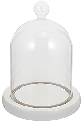 Glass Cloche Bell Jar: Glass Cake Cover with Wood Base Decorative Showcase Tabletop Display Case for Plants Flower Succulents Fairy Lights Medals