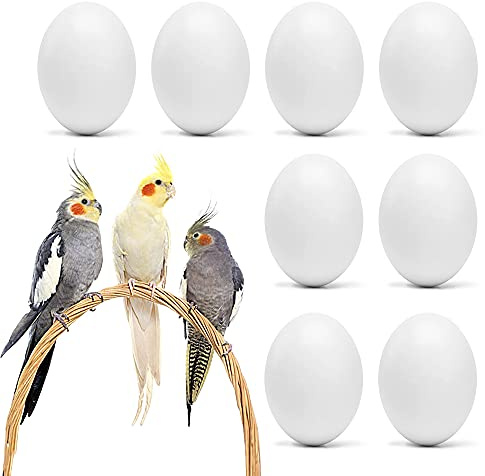 FORZENA Fake Bird Eggs Stop Egg Laying fit Cockatiels, Green Cheeks, Lovebird, Ringneck Dove, Lorikeet, Bourke Parakeet, Quaker Parrots (4PC)