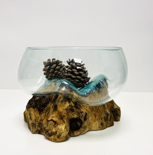My Square Mile Molten Glass Display Bowl On Wood Root Stand | Glass Rustic Ornament Sculpture Key Sweet Display Dish (Large)