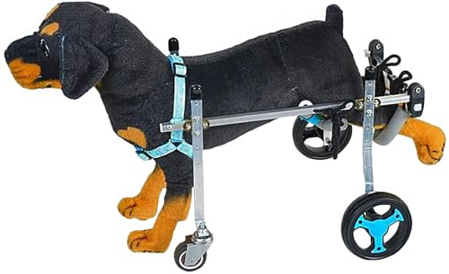 DRFGHK Carrello per Sedia a rotelle per Cani con Supporto Completo a 4 Ruote per tutore per Gambe, Sedia a rotelle per Esercizi per Animali disabili (Media)