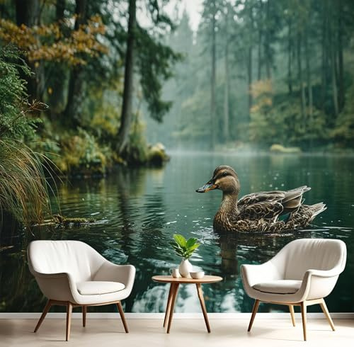 ANALTIRCE Papier Peint Panoramique Un Épais Brouillard Recouvre La Forêt Séquoias 100×70cm - Décoration Murale Nature, Murales Papier Peint Intissé pour Chambre Salon, Poster Tableaux Photo Muraux