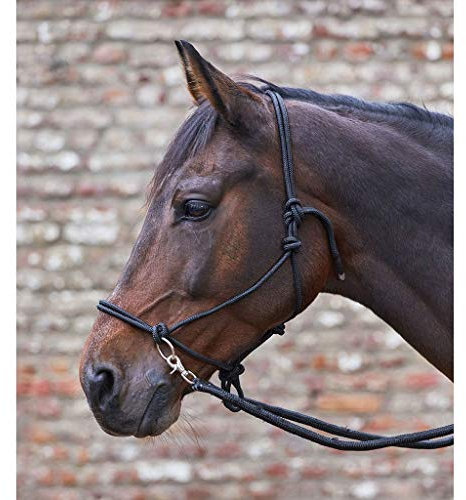 WALDHAUSEN Knotenhalfter mit Zügel