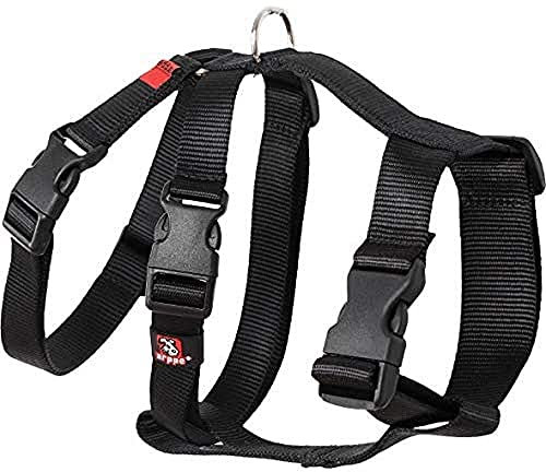 Arppen 196222530009 Harness Nylon grundlegende dreifache Greyhounds und Punnuts, Schwarze Farbe