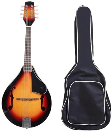 Instrument De Mandoline Professionnel Instrument De Musique Mandoline Avec Sac De Transport Pour Mandoline Pour La Pratique Sur Scène De Concert