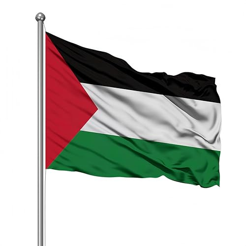 Bandiera della Palestina, 60 * 90cm/90 * 150cm, bandiera nazionale palestinese poliestere di alta qualità, per interni/esterni (60 * 90 cm/23.6 * 35.4pollici)