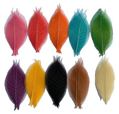 RATREE SHOP 100 Stück gemischte Farben, 10,2 - 12,7 cm, Skelett-Blätter, Gummibaum, natürliche Sammelalben, Karten, Hochzeiten, Basteln, Blumensträuße, saisonale Geschenke große Blätter