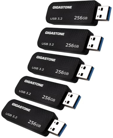 Gigastone Chiavetta USB 256 GB Set da 5, Z30 USB 3.2 Gen 1 Professional Serie, Senza cappuccio con design retrattile, compatibile con interfaccia USB 2.0 / USB 3.0 / USB 3.1