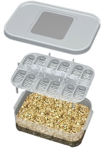 Reptilien-Eier-Inkubator – Tragbarer Reptilien-Inkubator, transparent, Eidechsenzuchtbox, Schildkröten-Haustier-Schlüpfeier-Box, Fütterung, Eidechsenkäfig, Schlüpfbehälter, tragbares Haustierhaus