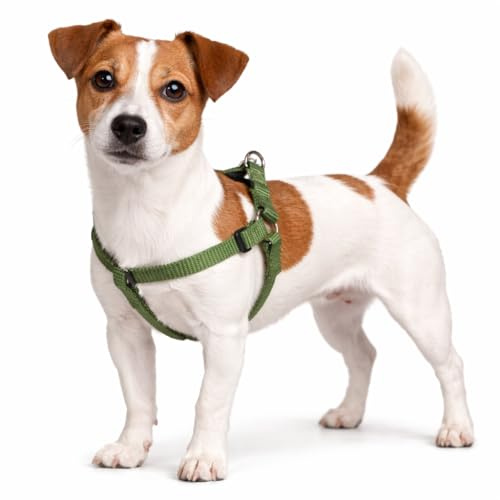 Harnais Chien - Harnais Step&Go Ziggi Kaki - Taille S - 25-45 cm / 25-45 cm - Nylon réglable - Double Anneaux