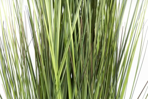 Nova-Nature künstliches Grasarrangement King Festuca im schwarzen Kunststofftopf (ca. 115 cm)