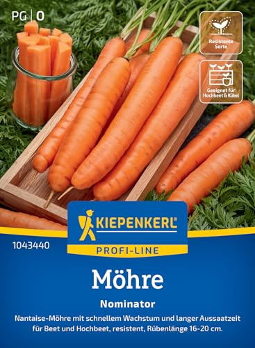 Kiepenkerl Möhrensamen Nominator 1043440, Gemüsesaat | Gemüsesamen für Möhrensamen, Rübenlänge von 16-20 cm, Inhalt für 6-7 laufende Meter