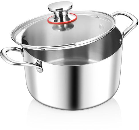 Joyfair Marmite, 20cm Premium Marmite à pâtes en acier inoxydable à 3 couches avec couvercle en verre, 3,3L Marmite à induction Marmite à soupe pour cuire/faire frire/soupes