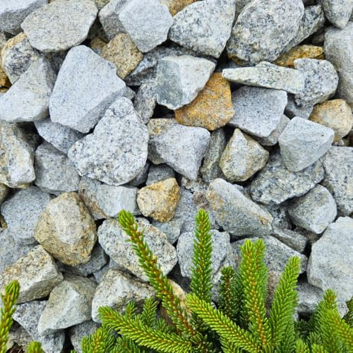 Feniks Granit Deko 20 kg (31-63mm) Splitt Grau | Ideal für die Gartengestaltung | Salz und Pfeffer Granit Naturstein | Splitt |Granitsplitt