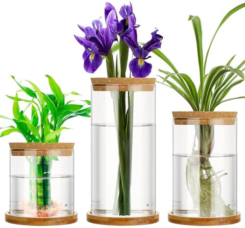 Maxcheck Pflanzen-Anzuchtstation in 3 Größen, getrenntes Glas-Terrarium, Wasser-Hydrokultur-Pflanzgefäßhalter mit Deckel und Holzständer, Anzuchtvase, Topf für Zuhause, Innenbereich, Büro, 3 Stück