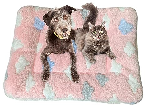 Katzendecken für Hauskatzen, warm, maschinenwaschbar, Hundekissen für Hunde, Welpen, Katzen, Welpendecken für Indoor-Katzen und Hunde, Kätzchenbett für Nervosität und Stress Bellv