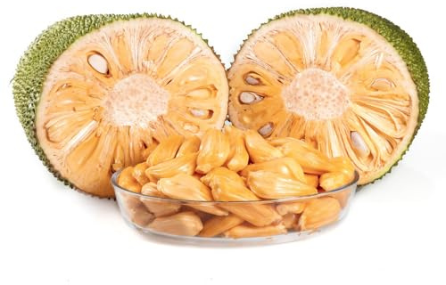 15 piezas semillas de yaca espaldera fruta plantas de balcón resistente árboles frutales bonsai maceta plantas exóticas Frutas exóticas plantas en macetas resistentes al exterior.