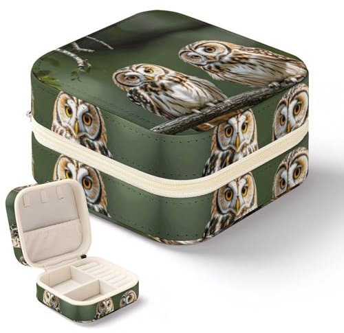 Dwrepo Schmuckkästchen mit Eulen auf Baumzweigen, für Damen, personalisierbar, tragbar, Reise-Schmuckkästchen für Ringe, Anhänger, Ohrringe, Halsketten, Armbänder