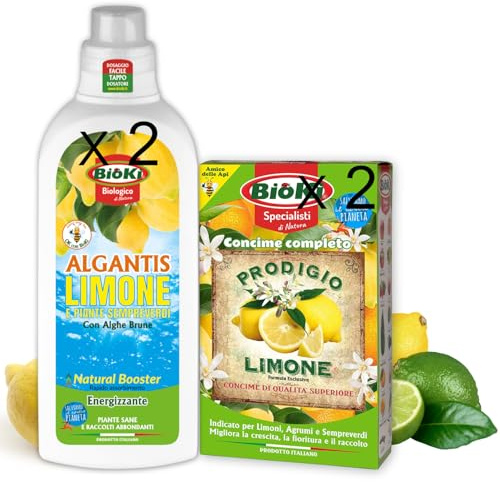 Concime per Limoni in Vaso, granulare a cessione graduale per limone, arancio, mandarino, kumquat, pompelmo (MAXI SCORTA FINO A 6 PIANTE)