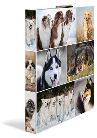 HERMA Ringbuch A4 Hunde, schmal, 4 Ringe, 35 mm breit, Kinder Ringordner mit Tier Motiv, bunter Ordner mit Innendruck für Jungen und Mädchen