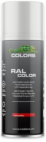 COLORS Sprühlack - 400ml Spraydose - Sprühfarbe für alle Oberflächen, Innen und Aussenbereich, Tolle Deckkraft | Weiss Matt
