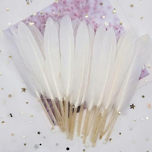 GreatRise 10-15cm Bunte Federn Natürliche Gänsefedern Federn zum Basteln Indianer Federn Dekoration Feder für DIY Handwerk Kostüme Hut Traumfänger Hochzeit Party Dekorationen Weiß 300 Stück