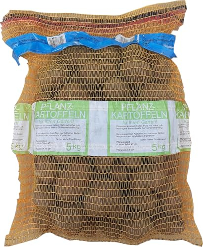 Pflanzkartoffeln Salome 5 kg, gelb, sehr früh, vorwiegend fest