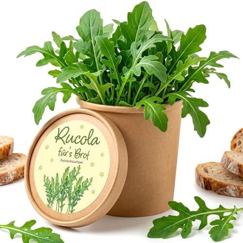 Rucola - Set da coltivazione in vaso, da coltivare sul davanzale della finestra, con semi e terra, rucola fresca per insalata, cucina, balcone, giardino interno, coltivazione di erbe e piante fai da