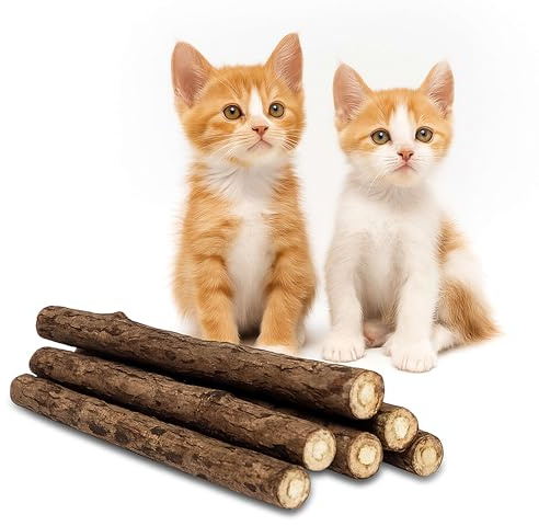 CZ Store®Matatabi|Lot de 6|✮Marque Française✮Garantie A Vie cataire/Catnip Bio Naturel pour Chat/Protection Soins dentaires-Herbe, goût Menthe Lutte Contre Mauvaise haleine-Jouet