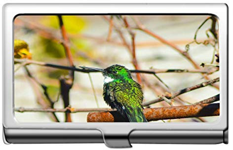 BerufsVisitenkartenhalter, Vogel-Natur-Kolibri-Kreditkarte-Identifikations-Kasten/Halter/Karten-Kasten
