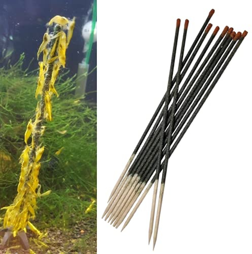 Schmitt Aquaristik Walnussblätter Lollies (10 Stück) / aus frischen Walnussblättern hergestellt / Garnelen Futter Walnuss Stangen