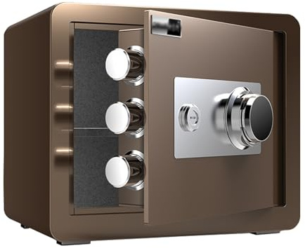 Mini Tresor mit Schlüssel Geldkassette Zahlenschloss Kleiner Safe für Zuhause Geldtresor für Geld, Bargeld, Medikamente, Pistole(Brown,30CM/12IN)