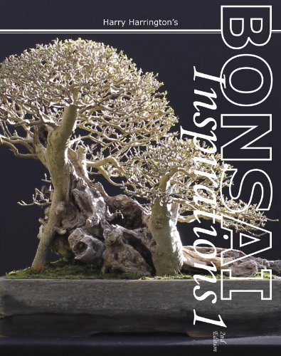 Harry Harrington's Bonsai Inspirations 1