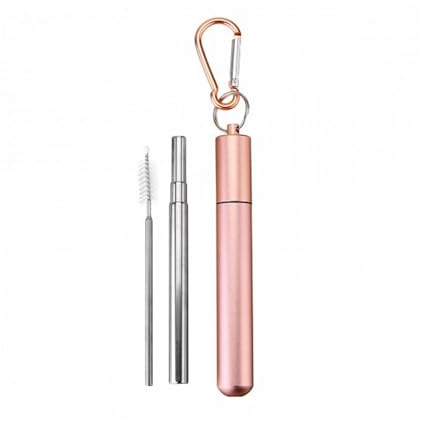 Paille pliable réutilisable avec étui et brosse - Pailles rétractables en acier inoxydable