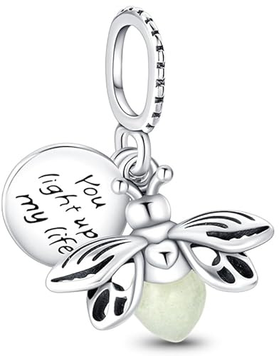 Symretie Pendentif Charm en Argent 925, Compatible avec les Bracelets et Colliers de Style Pandora et Européen. Convient aux Femmes et aux Filles.P2