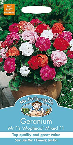 Mr Fothergill's 25220 Geranium Mr F's Mophead Mixed F1