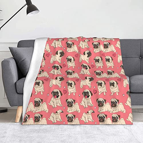 HAHAFU Hundedecke, Picknickdecke, bedruckt, warm, saugfähig, für Bett, Couch