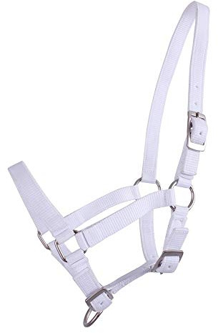 QHP Nylonhalfter Fohlen-Halfter 3fach verstellbar stark (Minishetty-Fohlen, Weiß)