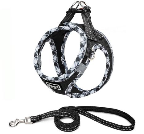 Elevant Hundegeschirr mit Leine, Step-in Weich Gepolstert Geschirr Reflektierend, Air-Mesh Atmungsaktiv Brustgeschirr, Welpengeschirr für Kleine Hunde, Haustiere, Welpen, Katzen (XS, Schwarz)