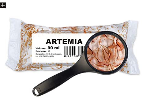 Artemia 25x90ml Lebendfutter