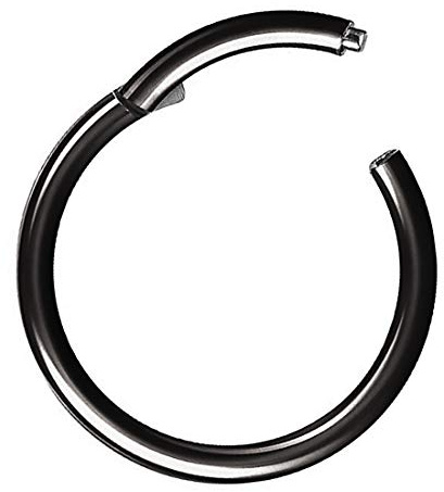 Taffstyle Segment Piercing Titan mit Scharnier für Septum Tragus Helix Nase Lippe Ohr Intim