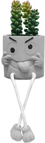 Zerzsy Artificialplant Succulents in Cement Pots with Hanging Leg, Kitchen Shelf Decor, Bathroom Shelf Decoraion, Home Sheves Decoration Accents, Office Wall Decor - Set of 1