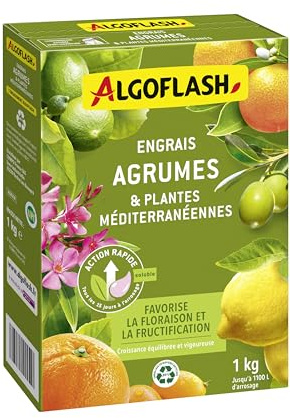 Algoflash Engrais Agrumes et Plantes Méditerranéennes, Action rapide - 1 Kg