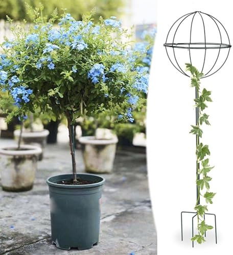Soporte vertical ajustable para plantas trepadoras, espaldera redonda para cultivo de hortalizas y frutas, espaldera de hierro para jardín, altura ajustable(Black,100-150cm)