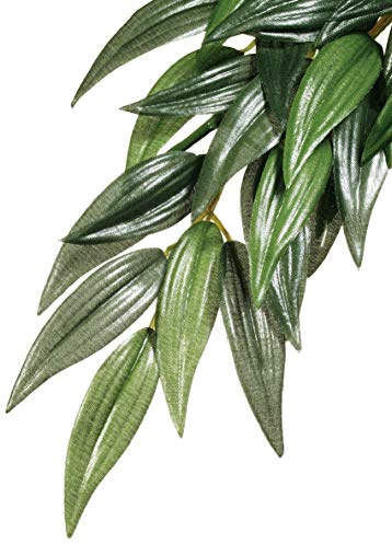 Exoterra Plante de Décoration pour Reptile Ruscus Terrmm