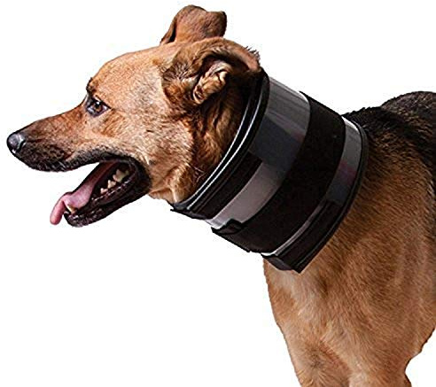 (Large) - KVP Bite Free Collar