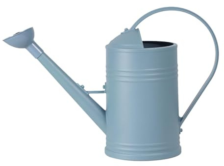 Gießkanne 2L Garten Giesskanne Klein Gießkanne Zimmerpflanzen Blumengießkanne Wasserkannen mit Brause Kunststoff Gartengießkanne Pflanzengießkanne für Innen und Außen (Blau)