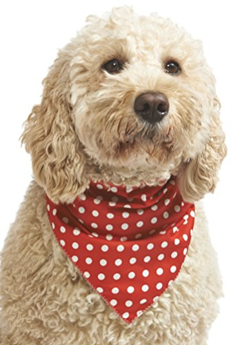 Pet Pooch Boutique Polka Dot Bandana for Dog, Medium/Large, Red
