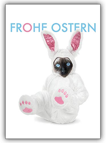 4 Osterkarten (4er Set): Lustige Osterkarte mit Siamkatze in Osterhasenkostüm ! Frohe Ostern! • hochwertige Glückwunschkarten mit Umschlägen zu Ostern, Ostergrüße, Osterkarten