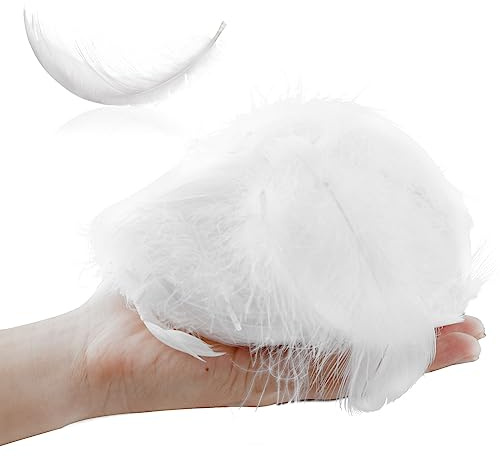 Pinsheng 300 Stück Weiße Federn, Natur Gänsefedern DIY Weiß Federn Bastelfedern Dekorationen für Traumfänger Basteln Hochzeit Party Deko Baum Ornament Handwerk Schmuck