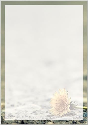Briefpapier Trauer DIN A4 - Trauerbrief und Kondolenz-Papier 20 Blatt - Motiv Nr. 144 | 200g/m²